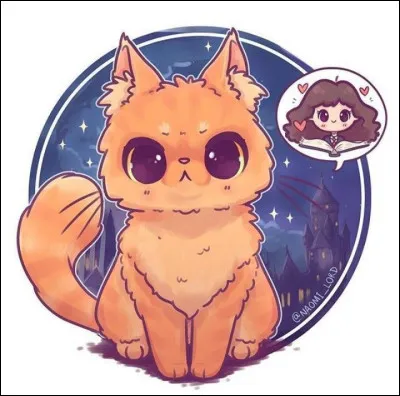 Petite question, quelle est te personnalité ?