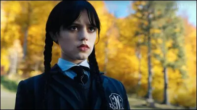 De quelle ville son académie est-elle proche ?