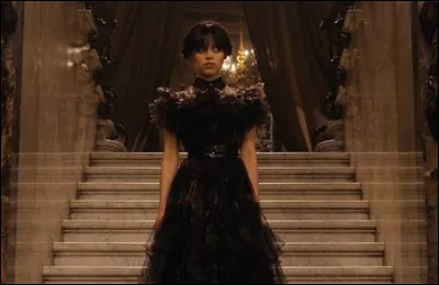 Qui sont les réalisateurs de la série Mercredi ?