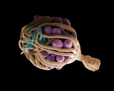 Ben voilà, vous l'avez énervé, maintenant ! Que se passe-t-il ?