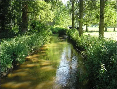 Quel cours d'eau n'est pas un affluent du Rhône ?