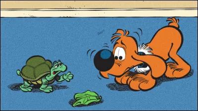 Quel est le nom de cette sympathique tortue ?