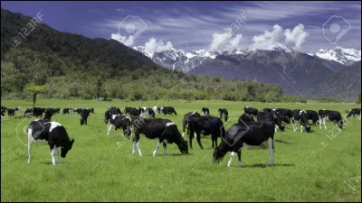 Aimes-tu les animaux de la ferme ?