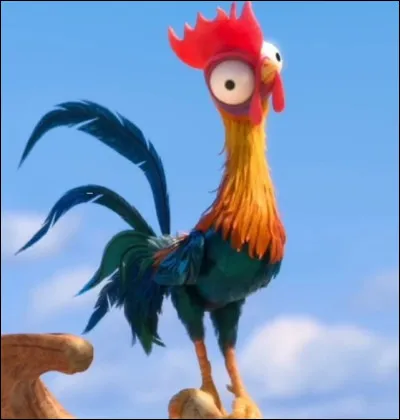 Comment s'appelle le coq ?