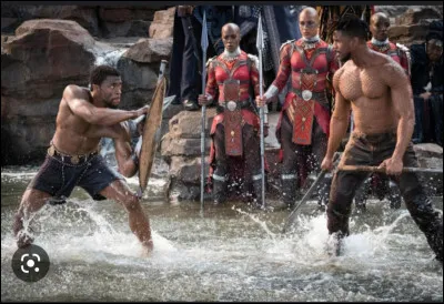 Qui incarnait "Black Panther" dans le MCU ?