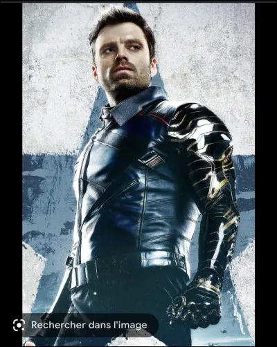 Qui incarne le "Soldat de l'Hiver" dans le MCU ?