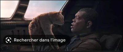 Qui incarne "Nick Fury" dans le MCU ?