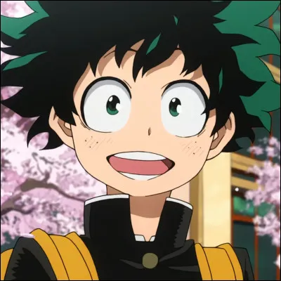 Izuku Midoriya vient d'un :