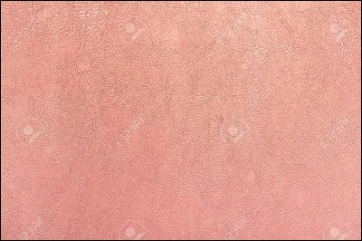 Quel est le nom de cette couleur en anglais ?