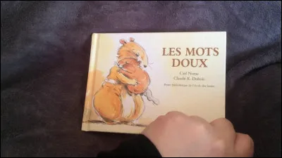 Qui chante "Les Mots doux" ?