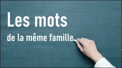 À quel auteur faut-il attribuer le roman autobiographique "Les Mots" ?