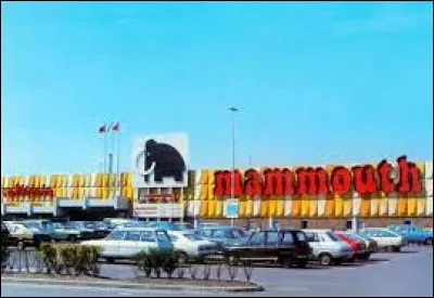 Les hypermarchés "Mammouth" ont disparu en 2009.