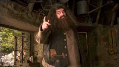 De quoi sont morts les veracrasses de Hagrid ?