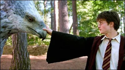 Qui a été désigné comme Gardien du Secret par Lily et James Potter ?