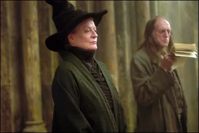 Selon le professeur McGonagall, avec quel sortilège le nouvel éclair de feu de Harry, pourrait-il être ensorcelé ?