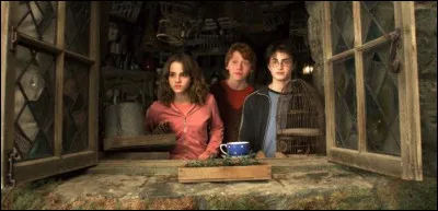 Qui est l'attrapeur de l'équipe de Quidditch de Serdaigle ?