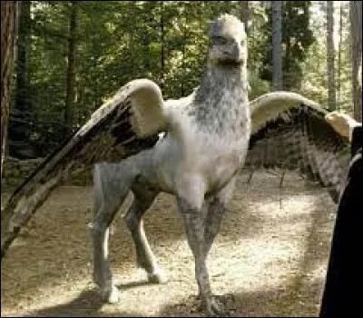 Comment s'appelle le bourreau qui doit exécuter Buck ?