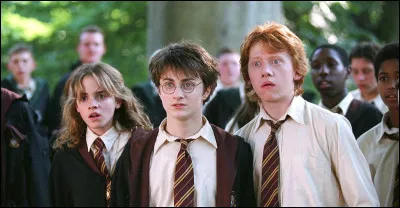 Quels cadeaux Harry reçoit-il de la part de Ron et d'Hermione pour son treizième anniversaire ?