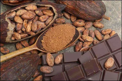 Par qui fut popularisé le cacao ?