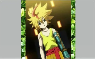 Chapitre 2 : Qui est Free ?