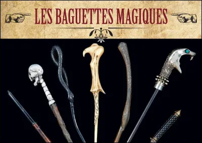 Vous commencez finalement par Jonker et il te demande quelle baguette tu veux. Tu choisis :