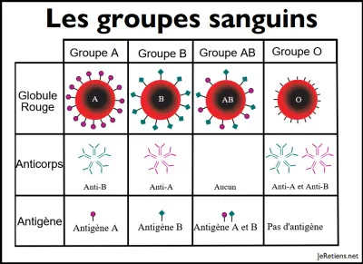 Quel groupe sanguin est donneur universel ?