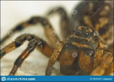 Quelle est ta plus grande peur ?