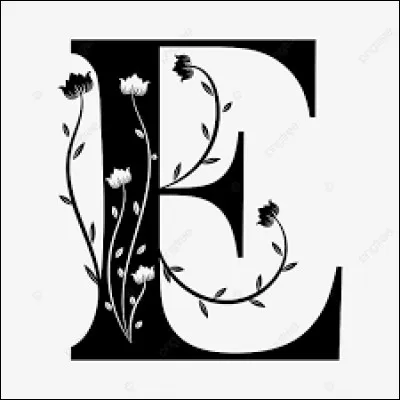 Dans quel pays se situe Europa-Park ?