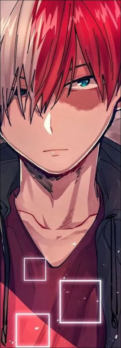 Quel est le nom de code de Shoto ?