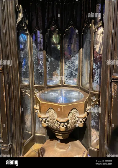 Pourquoi Harry va-t-il dans la for&ecirc;t interdite dans le dernier film ?