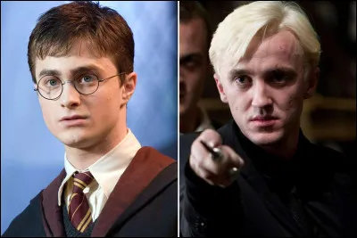 Drago et Harry sont meilleurs amis.