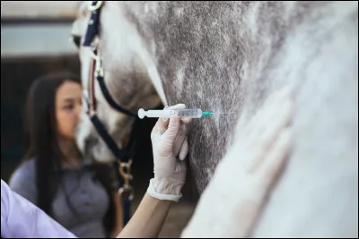Quel est le vaccin obligatoire pour les chevaux ?