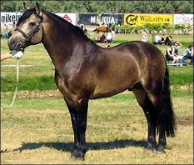 Quelle est cette robe ?