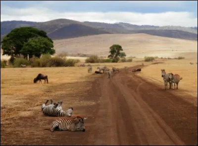Dans quel pays se situe le parc du Serengeti ?