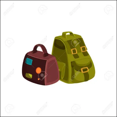 Si tu devais choisir une colonie de vacances, laquelle choisirais-tu ?