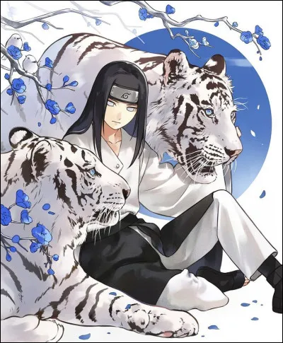 Quelle est ta couleur préférée ?