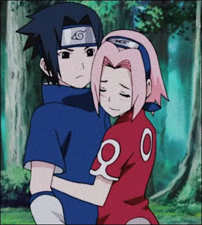 Dernière question !
Veux-tu être avec Naruto ou Sasuke ?