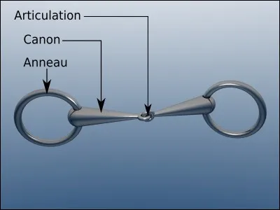 Pour Norman Mailer, avec qui sont les nus ?