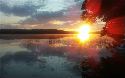 Tu rentres au camp avec une souris et un merle. Ta sur se jette sur toi.
"Nuage du Soleil ! J'ai cru que tu étais morte !"
Tu la rassures puis ta cheffe te nomme enfin guerrière. Tu es désormais Rayon de Soleil. Mais le camp doit être reconstruit.