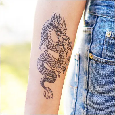 Qui sont les jumeaux dragons ?