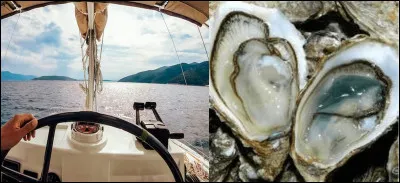 Vers quelle ile est-il parti ?