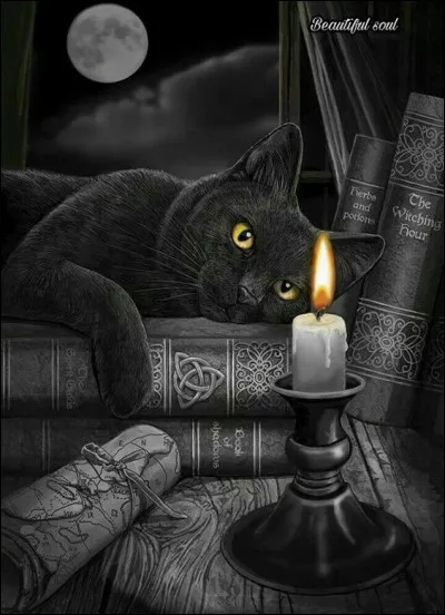 À qui doit-on la saga "Les Royaumes de Feu" ?