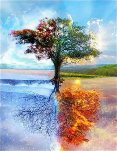 Dans quelle histoire y a-t-il un arbre des 4 saisons ?