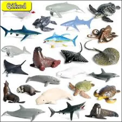 On peut m'appeler le "le cheval des mers", qui suis-je ?