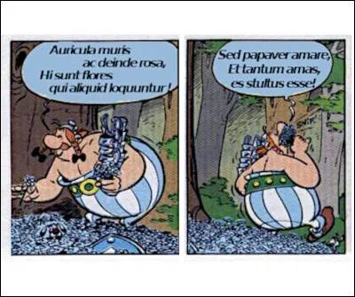 Même Obélix se fait des pensées poétiques, ça lui arrive...