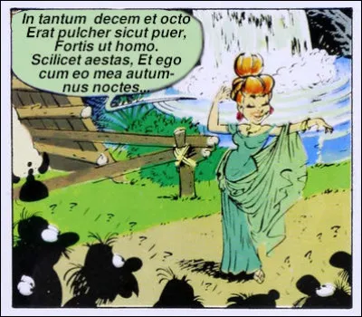 Heu... ce n'est pas un défilé de mode, mais on y est presque !