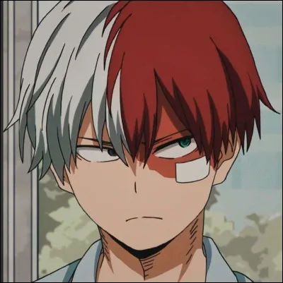 Quels sont les noms des Alters de Shoto Todoroki ?