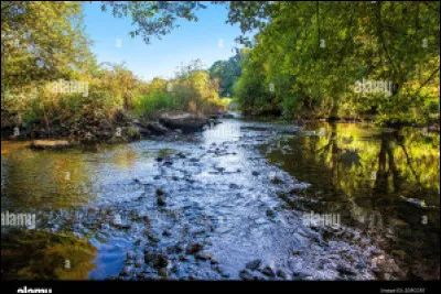 Les chiens de la meute se promènent à cet endroit.
Dites-moi pourquoi.
