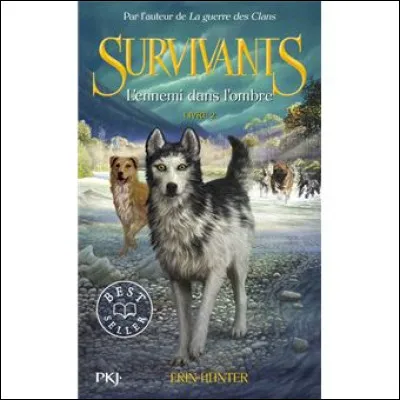 Quelle est la race de mon toutou préféré ?