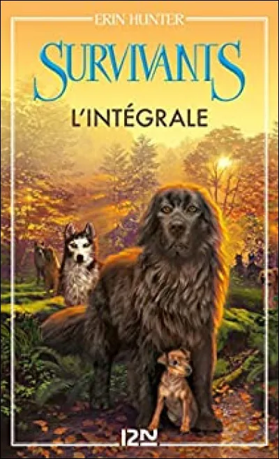 Quelle est sa race ?